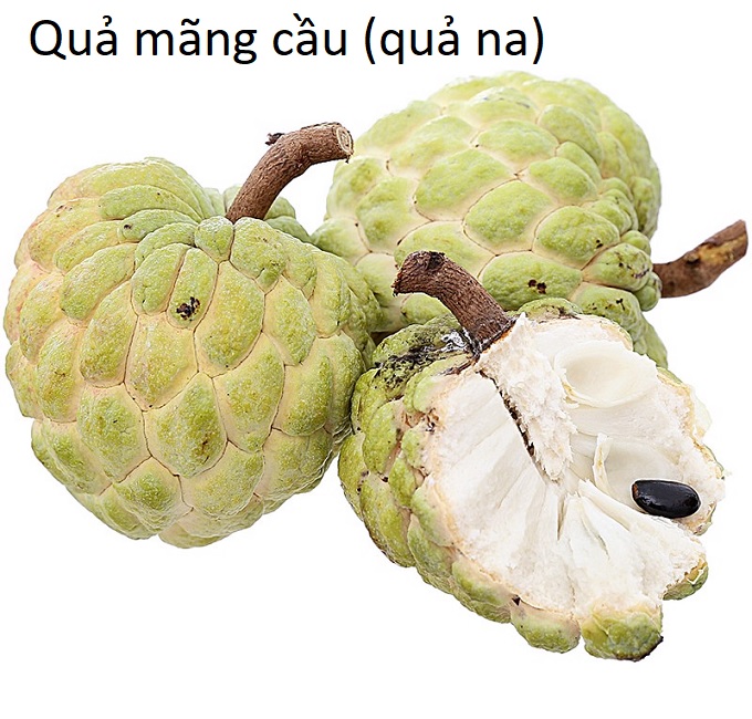 Ăn quả na, quả mãng cầu dai thường xuyên có thể ngăn ngừa bệnh ung thư - Y khoa Kim Minh