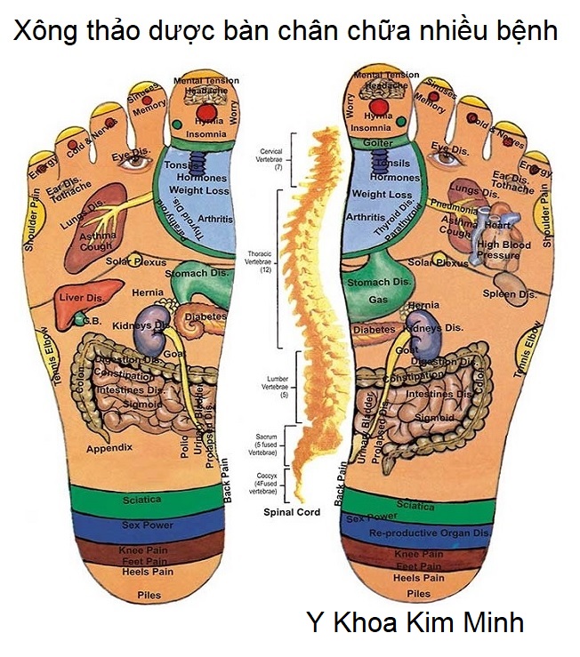 Huyệt đạo gan bàn chân