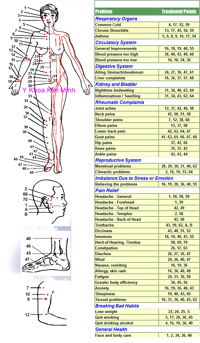 But do dieu tri huyet dao ca nhan WL-912 Y khoa Kim Minh