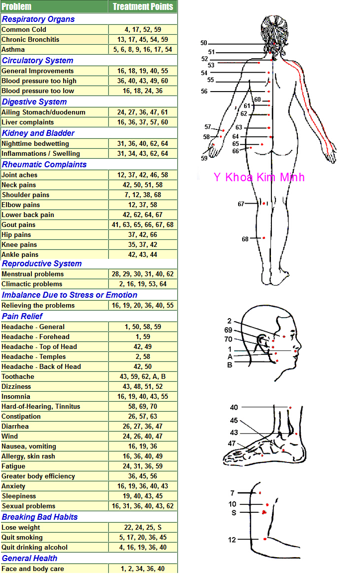 So do huyet dao co the mat lung Y Khoa Kim Minh