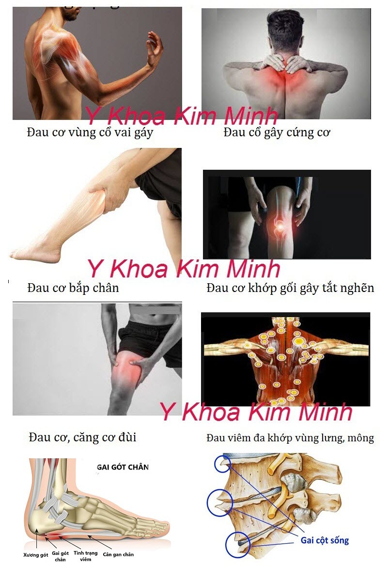 Súng massage gun HL750plus điều trị cơ xương khớp