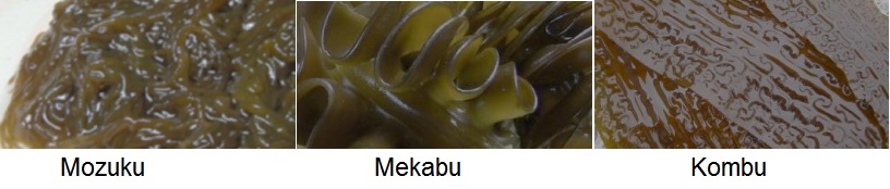 Tao nau Fucoidan Nhat Ban dieu tri ngan ngua ung thu