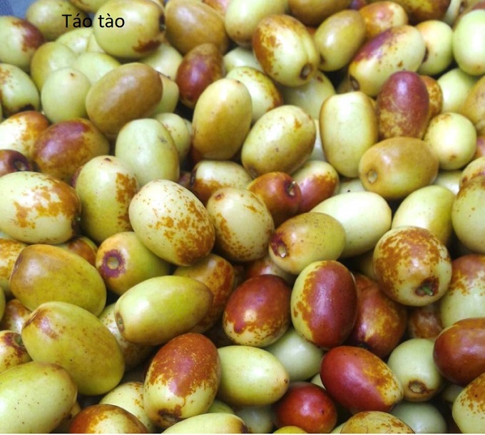 Ăn táo tàu thường xuyên có tốt không?