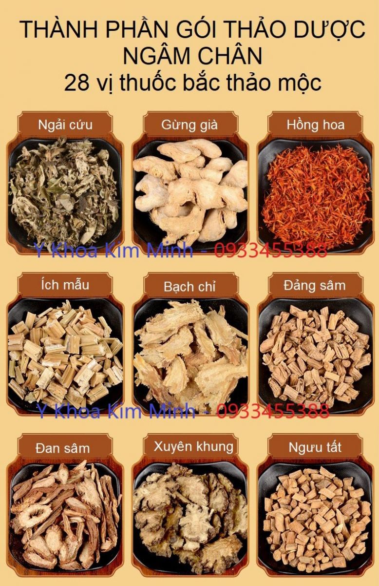 Thuoc bac ngam chan 29 vi ban o kim minh