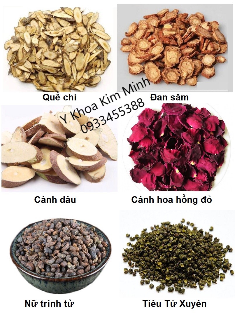 Thảo dược thuốc bắc ngâm dưỡng thể
