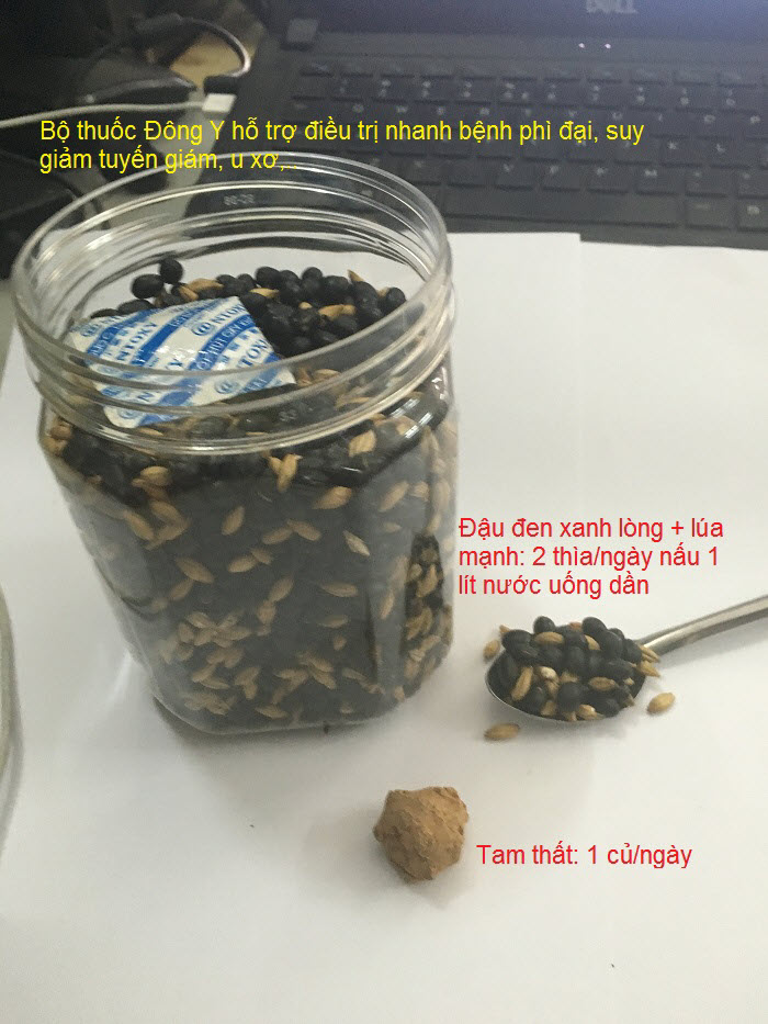 Thuoc chua benh buou co kim minh