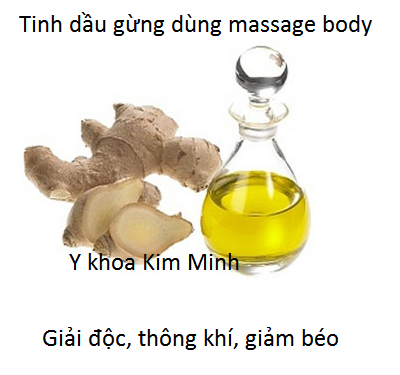 Tinh dầu gừng nguyên chất Thái Lan - Y khoa Kim Minh Tinh dau gung massage body giam beo ket hop chua benh - Y khoa Kim Minh