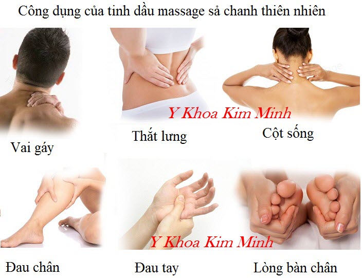 Tinh dầu sả chanh dùng massage body ngăn ngừa bệnh tật, giảm cảm cúm - Y khoa Kim Minh
