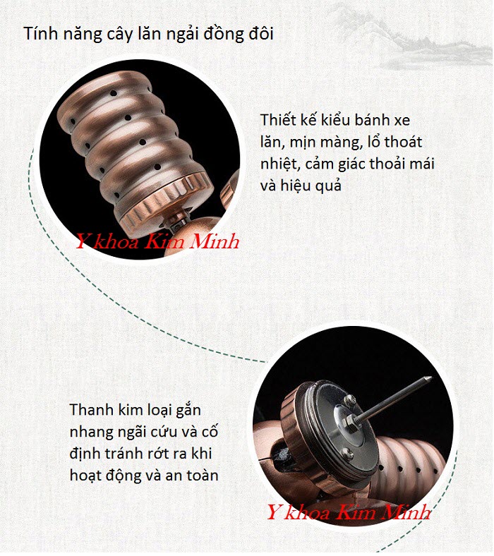 Tính năng hoạt động chữa bệnh cơ xương khớp của cây lăn ngải cứu đồng 2 nhánh - Y Khoa Kim Minh