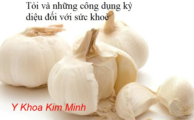 Tỏi và những công dụng kỳ diệu đối với sức khoẻ con người