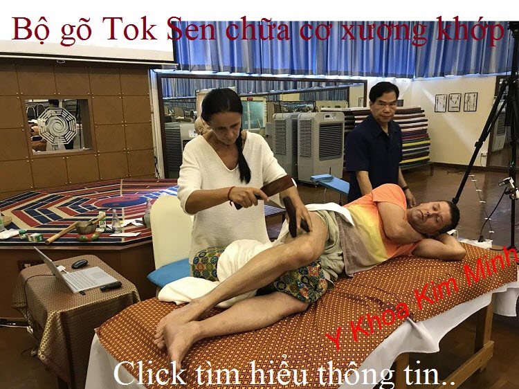 Tok Sen, búa đục gỗ điều trị đau cơ xương khớp cột sống sản xuất tại Việt Nam