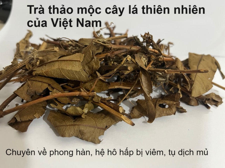 Trà thảo mộc lá cây thảo dược hỗ trợ bệnh viêm xoang, phong hàn, cảm mạo mạn tính