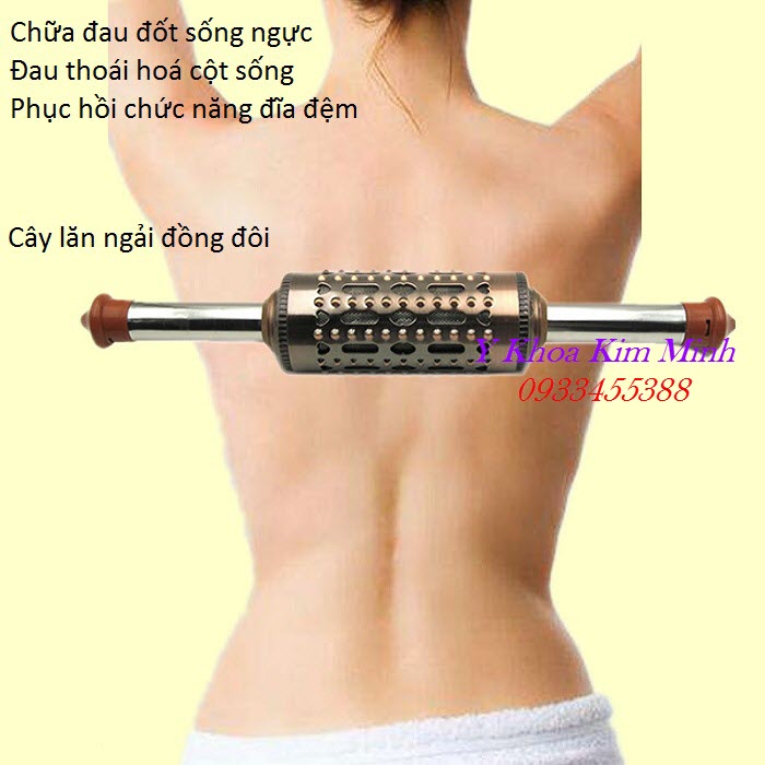 Chữa cong cột sống, thoát vị đĩa đệm bằng lăn ngải đồng đôi - Y Khoa Kim Minh Trị đau lưng, đau cột sống ngực, cong cột sống lưng bằng cây lăn ngải đồng đôi - Y Khoa Kim Minh