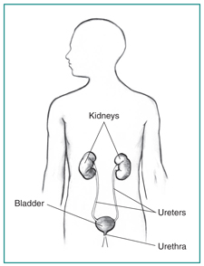 Bệnh tiểu ra m&aacute;u