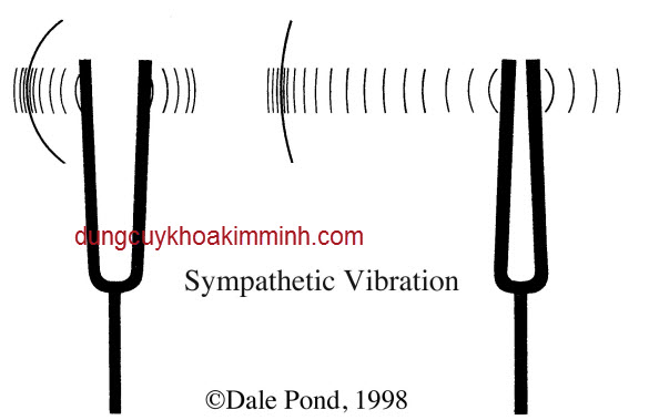 âm thoa kiểm tra điếc thính giác