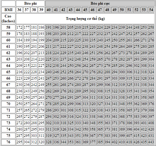 Bảng BMI theo dõi độ béo cơ thể