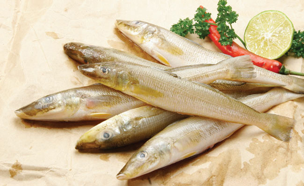 C&aacute; c&oacute; lợi cho người bệnh tiểu đường