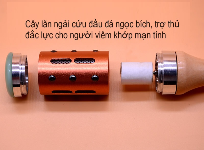 Cây lăn ngải cứu đầu đá ngọc bích bán ở Y khoa Kim Minh