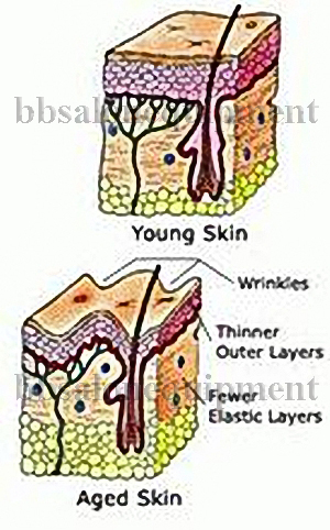 chăm s&oacute;c da &aacute;nh s&aacute;ng sinh học