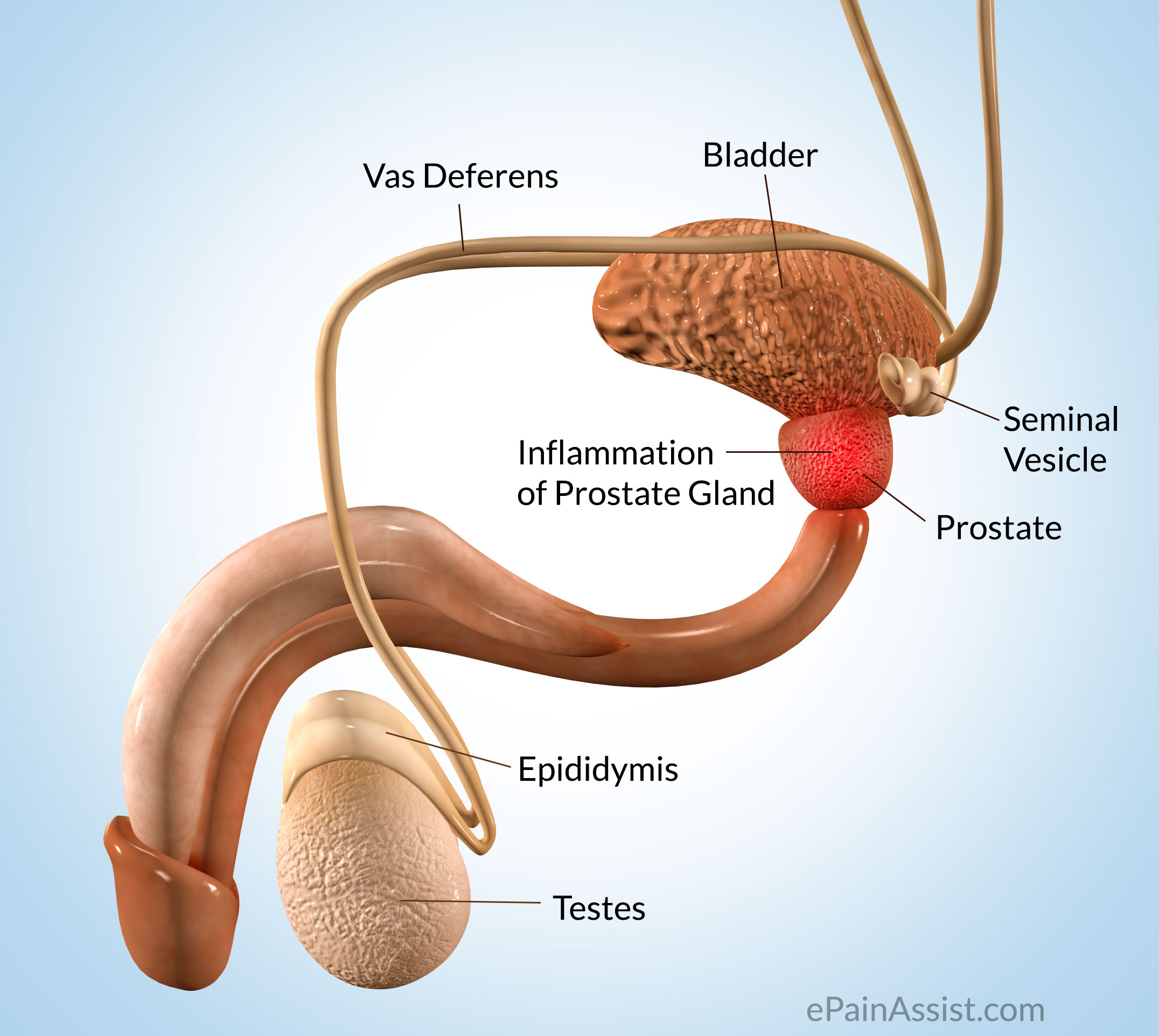 May chua benh viem tuyen tien liet F-8000B