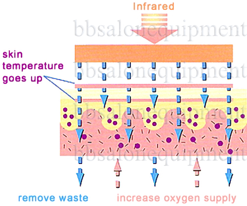 chăm s&oacute;c da &aacute;nh s&aacute;ng sinh học bioled
