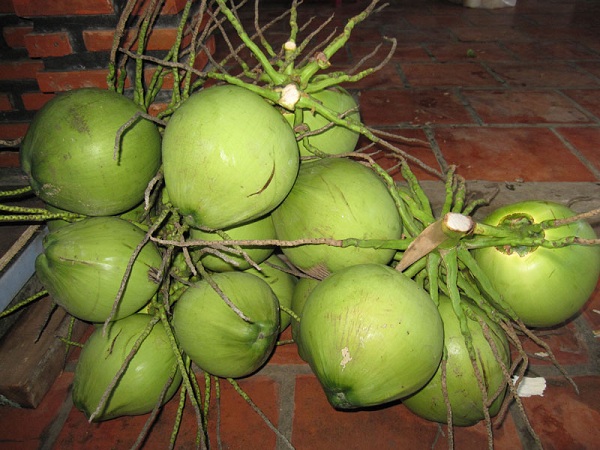 Trai dua xiem voi la trau tuoi chua benh thong phong gut nhanh chong