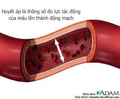 may do huyet ap, máy đo huyết áp