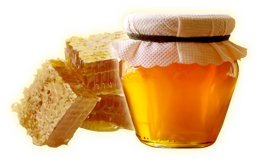 ph&acirc;n biệt mật ong rừng thật giả