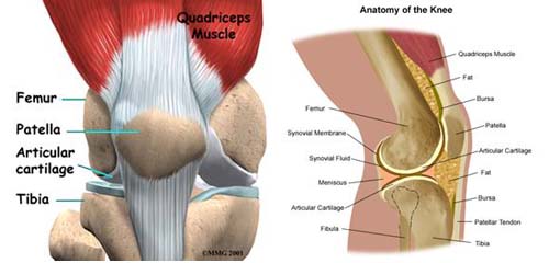 M&aacute;y điều trị vi&ecirc;m đau nhứt khớp gối KIM MINH