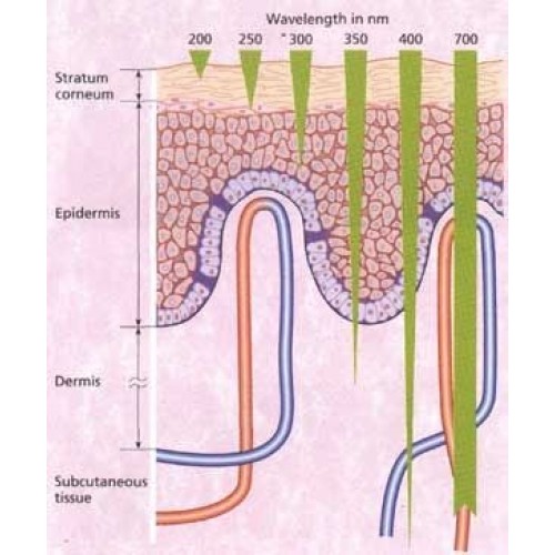Máy chăm sóc trẻ hóa da photon mini