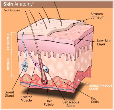 HDSD c&aacute;ch sử dụng m&aacute;y phun oxy jet thẩm mỹ