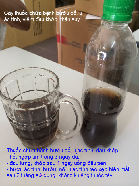 Thuốc chữa bệnh bướu độc bướu mỡ, u ác tính, suy tim, đau khớp bằng cây thuốc dân gian Y Khoa Kim Minh