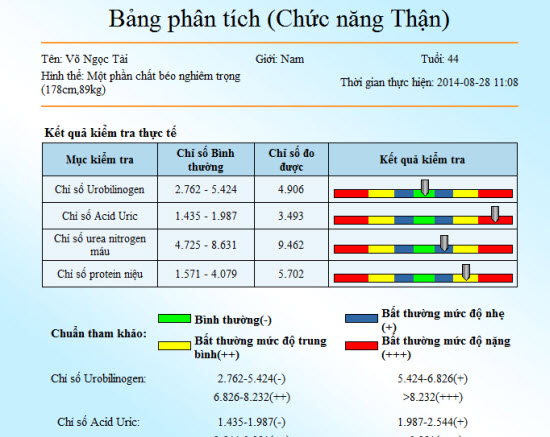 Chữa trị bệnh gout dư axit uric bằng c&acirc;y hoa nở ng&agrave;y đất